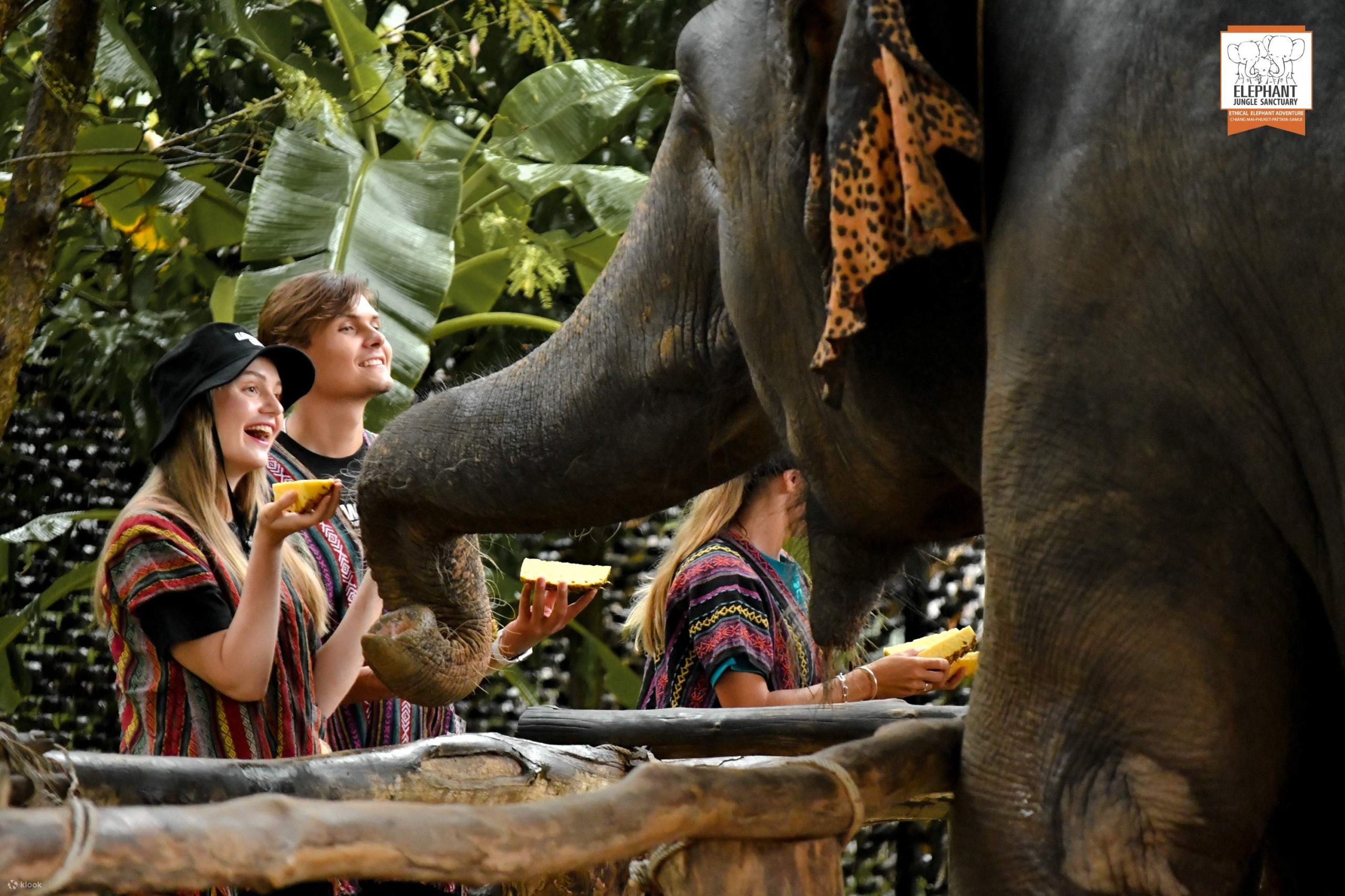 HalfDayVisittoElephantJungleSanctuaryPhuket Klook